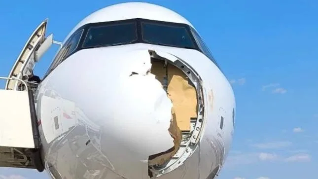 IB579 Seferinde Kuş Çarpması: A321neo Radome’u Parçalandı