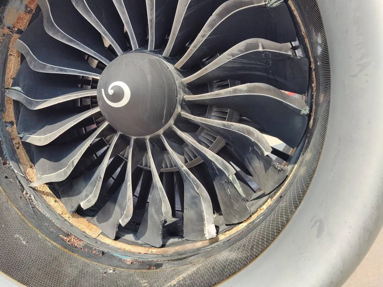 IB579 Seferinde Kuş Çarpması: A321neo Radome’u Parçalandı