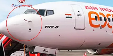 Air India Express Uçuşu Kuş Çarpması Nedeniyle İptal Edildi