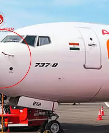 Air India Express Uçuşu Kuş Çarpması Nedeniyle İptal Edildi