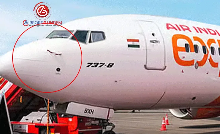 Air India Express Uçağına Kartal Çarptı, Uçuş İptal Edildi
