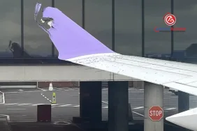 JetBlue uçağı terminal camına çarptı