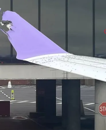 JetBlue uçağı terminal camına çarptı