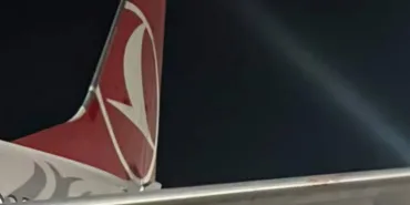 Türk Hava Yolları'nın Boeing 737’sinin Kanadına Martı Sıkıştı!