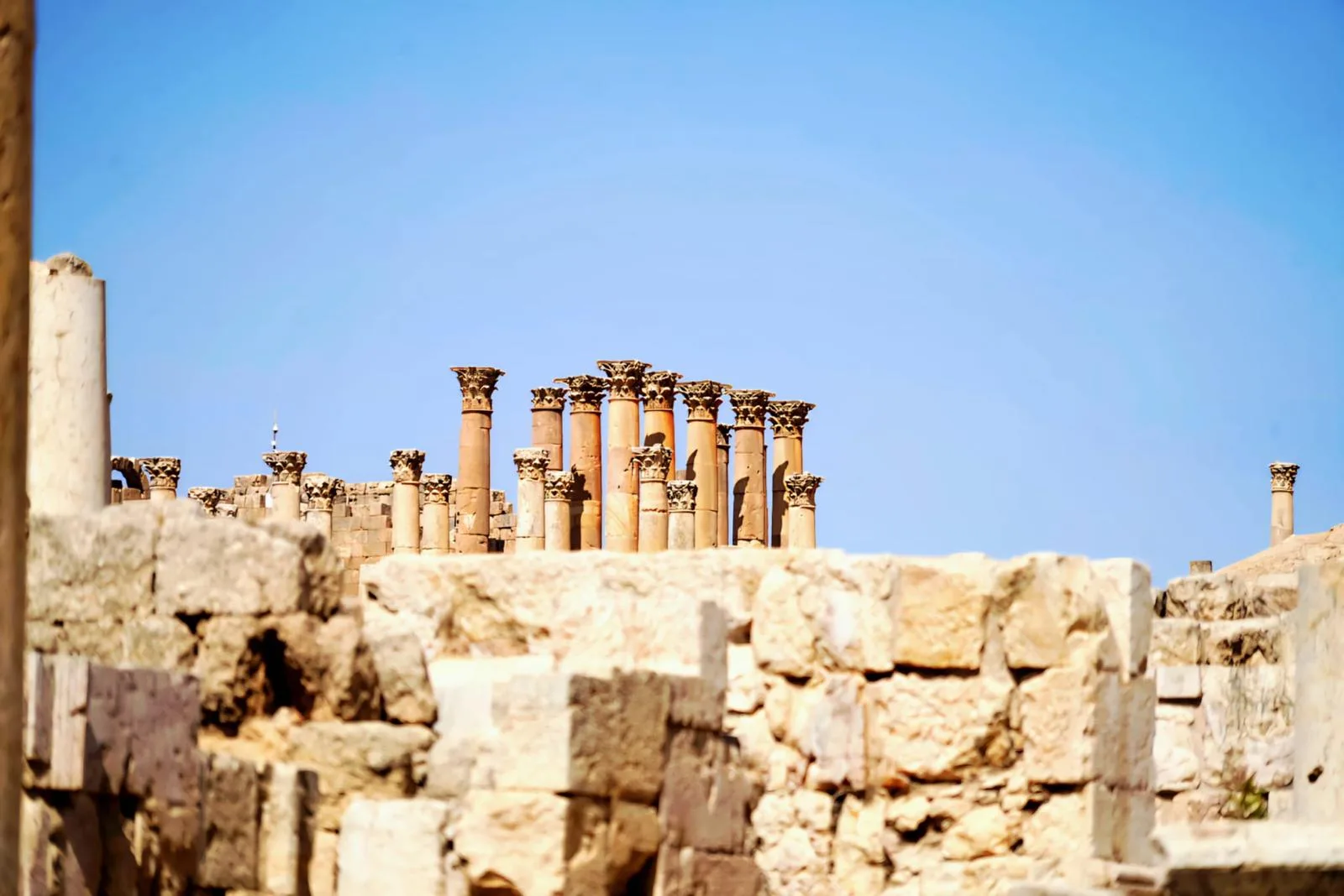 THY–BookingAgora İş Birliğiyle Türkiye’den Ürdün’e Yeni Rota