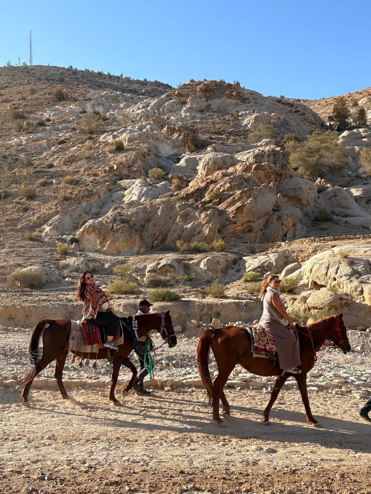 THY–BookingAgora İş Birliğiyle Türkiye’den Ürdün’e Yeni Rota