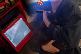 İstanbul Havalimanı’nda Rus Yolcunun Kedisi Kaçtı! Termal Kamera ile Tespit Edildi