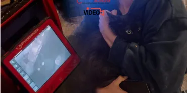 İstanbul Havalimanı’nda Rus Yolcunun Kedisi Kaçtı! Termal Kamera ile Tespit Edildi