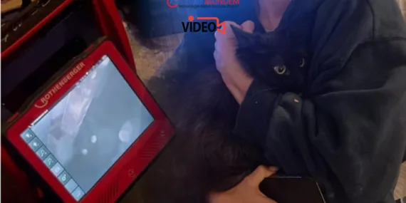 İstanbul Havalimanı’nda Rus Yolcunun Kedisi Kaçtı! Termal Kamera ile Tespit Edildi