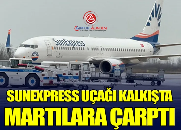 SunExpress uçağı kalkışta martılara çarptı