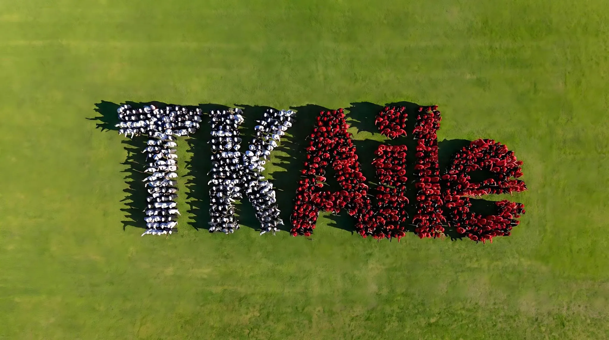 THY’nin 2036 vizyonu: 1.000 uçak, 210 milyonun üzerinde yolcu