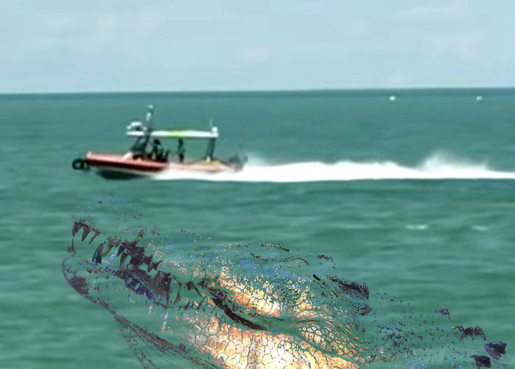 Batı Avustralya’da Cessna 441 Timsah Dolu Körfeze Düştü