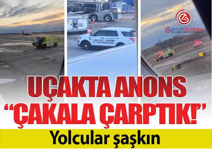 JetBlue Uçağı Pistte Çakal ile Çarpıştı: TF Green Havalimanı’na Güvenli İniş