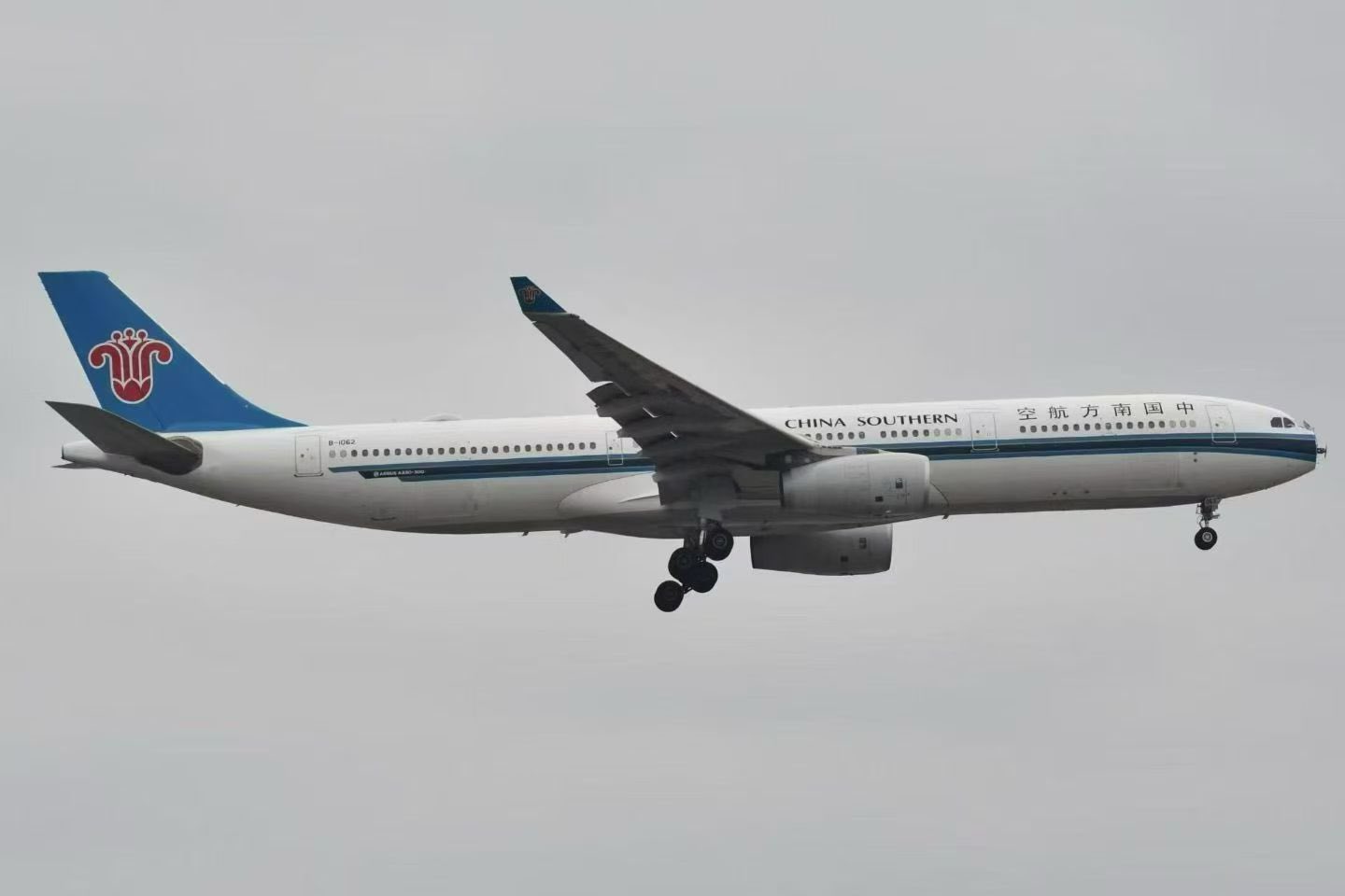 China Southern A330 Kuş Sürüsüne Girdi: Radom Koptu