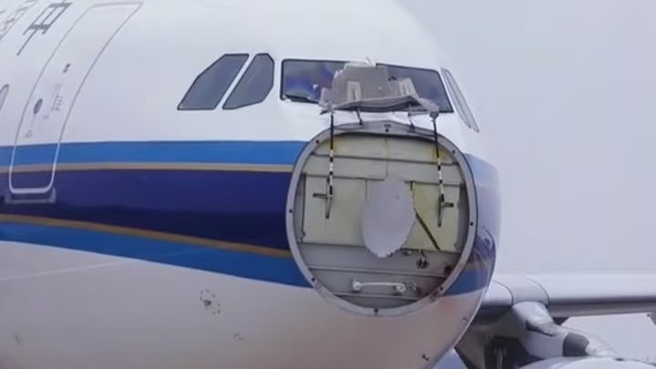 China Southern A330 Kuş Sürüsüne Girdi: Radom Koptu