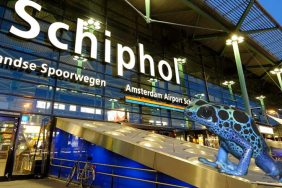 Schiphol Havalimanı’nda Egzotik Kaçakçılık Skandalı: Zehirli Ok Kurbağaları Ele Geçirildi
