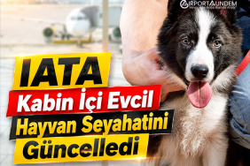 IATA Kabin İçi Evcil Hayvan Seyahatini Güncelledi
