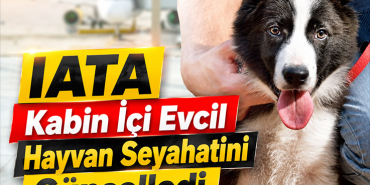 IATA Kabin İçi Evcil Hayvan Seyahatini Güncelledi