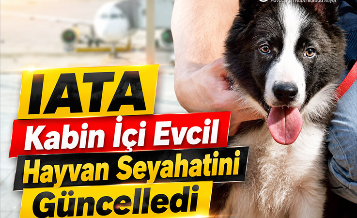IATA Kabin İçi Evcil Hayvan Seyahatini Güncelledi