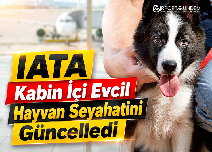 IATA Kabin İçi Evcil Hayvan Seyahatini Güncelledi
