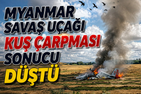 Myanmar savaş uçağı kuş çarpması sonucu düştü