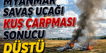 Myanmar savaş uçağı kuş çarpması sonucu düştü