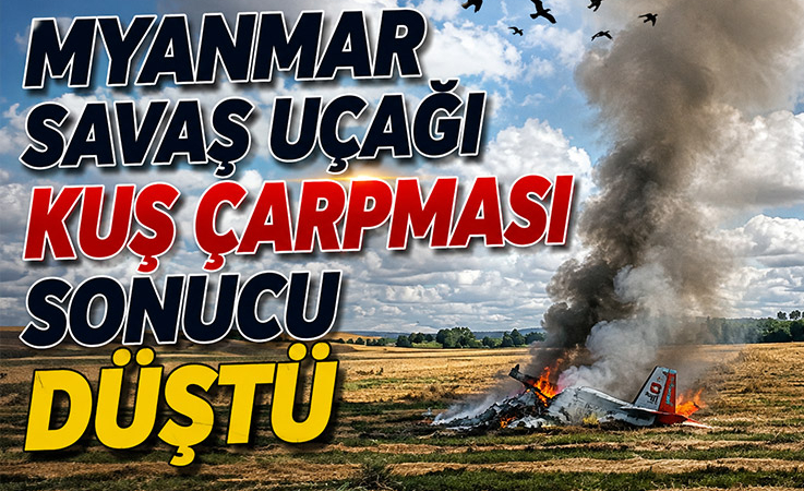 Myanmar savaş uçağı kuş çarpması sonucu düştü