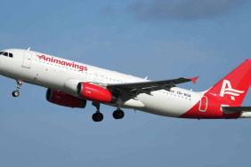1_Animawings-Airbus