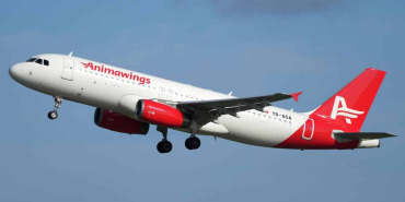 1_Animawings-Airbus