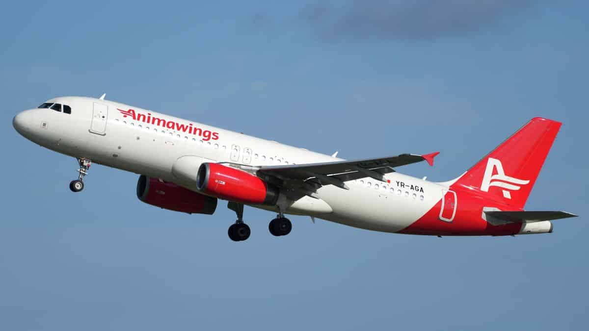 1_Animawings-Airbus