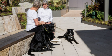 2026-Oct-North-Terrace-Airside25-Dogs
