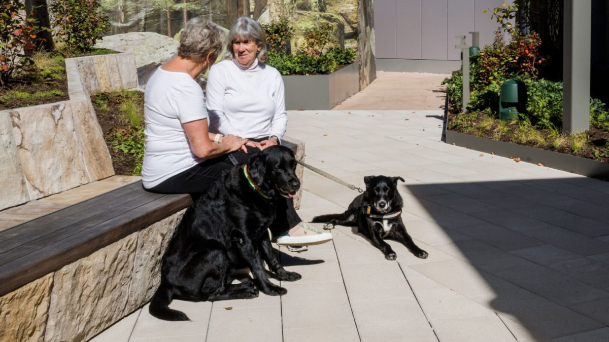 2026-Oct-North-Terrace-Airside25-Dogs