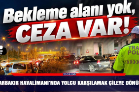 Diyarbakır Havalimanı’nda yolcu karşılama yoğunluğu 16 Havacılık & Savunma Aerolineas Argentinas 206877