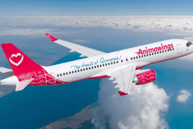 Animawings-A220-e1744022622451