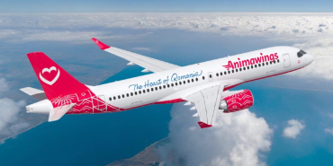 Animawings-A220-e1744022622451