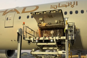 Bears-being-unloaded-in-Abu-Dhabi-Photo-Etihad-Cargo-480x318-1