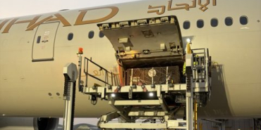 Bears-being-unloaded-in-Abu-Dhabi-Photo-Etihad-Cargo-480x318-1