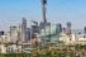 CBD