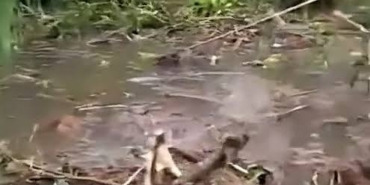 Nijerya’da düşen askeri uçak için arama çalışması 3 arama kurtarma Scene-of-Military-Plane-Crash