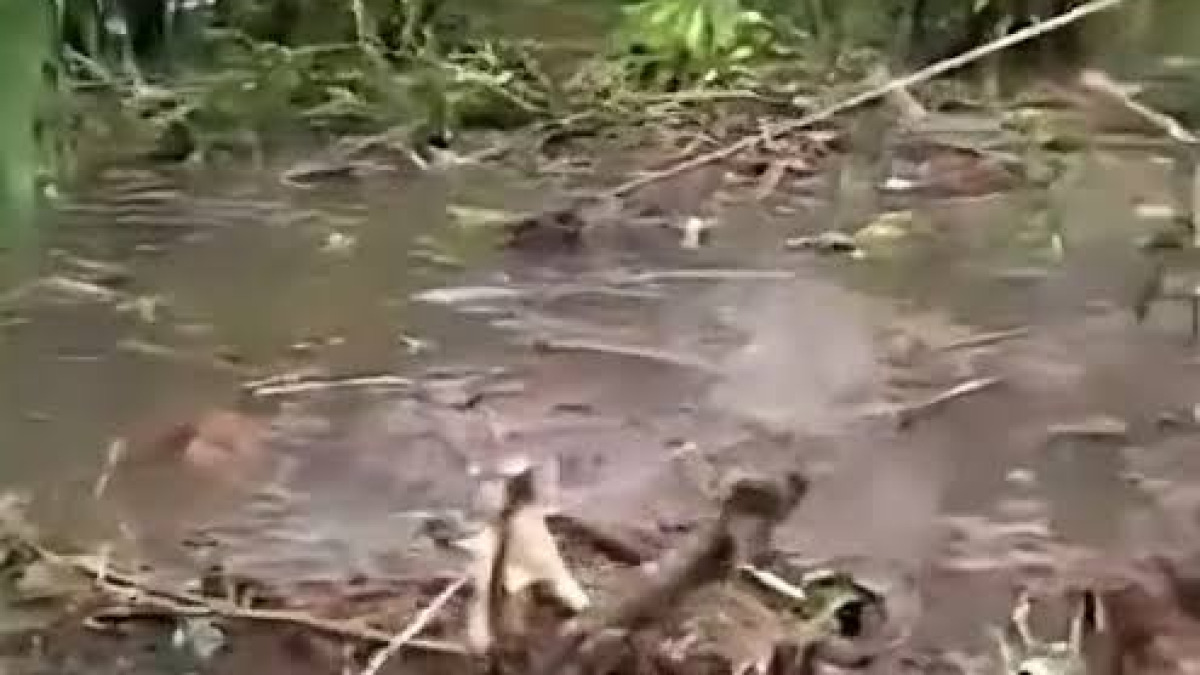 Nijerya’da düşen askeri uçak için arama çalışması 9 Havalimanları İGA Scene-of-Military-Plane-Crash